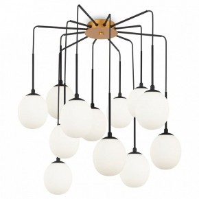 Потолочная люстра Maytoni Branch MOD176PL-12G в Верхней Салде - verhnyaya-salda.mebel24.online | фото 3