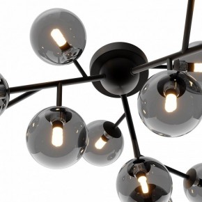 Потолочная люстра Maytoni Dallas MOD545CL-12B в Верхней Салде - verhnyaya-salda.mebel24.online | фото 3