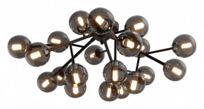 Потолочная люстра Maytoni Dallas MOD545CL-20B в Верхней Салде - verhnyaya-salda.mebel24.online | фото 2