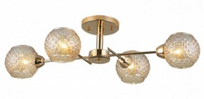 Потолочная люстра Rivoli Amalia Б0050815 в Верхней Салде - verhnyaya-salda.mebel24.online | фото 3