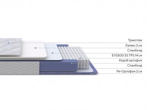 PROxSON Матрас Active Duo S/F (Ткань Трикотаж Эко) 120x190 в Верхней Салде - verhnyaya-salda.mebel24.online | фото 2