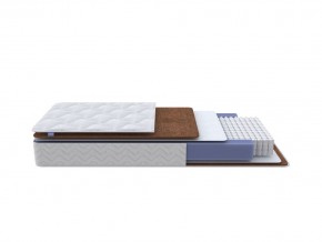 PROxSON Матрас Active F Roll (Ткань Трикотаж Эко) 140x200 в Верхней Салде - verhnyaya-salda.mebel24.online | фото 1