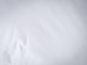 PROxSON Подушка Terra Duo (Сатин Ткань) 50x70 в Верхней Салде - verhnyaya-salda.mebel24.online | фото 9