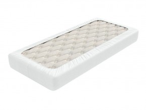 PROxSON Защитный чехол Aqua Save Light S (Ткань влагостойкая Tencel Jersey) 90x220 в Верхней Салде - verhnyaya-salda.mebel24.online | фото 2