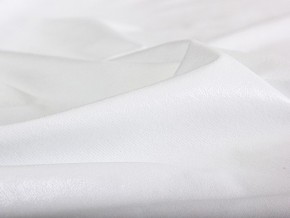 PROxSON Защитный чехол Aqua Save Light Top (Ткань влагостойкая Tencel Jersey) 80x200 в Верхней Салде - verhnyaya-salda.mebel24.online | фото 5