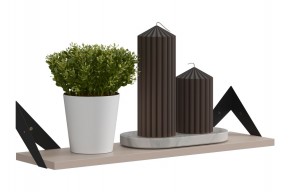 РИЧ Полка навесная в Верхней Салде - verhnyaya-salda.mebel24.online | фото 3