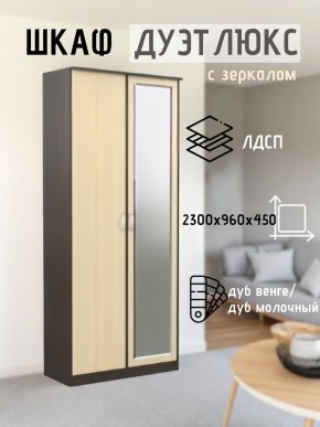 Шкаф 2-х створчатый Дуэт Люкс с зеркалом в Верхней Салде - verhnyaya-salda.mebel24.online | фото