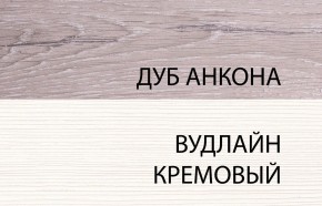 Шкаф 2DG, OLIVIA, цвет вудлайн крем/дуб анкона в Верхней Салде - verhnyaya-salda.mebel24.online | фото 3