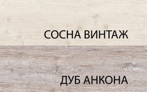 Шкаф 2DG2S, MONAKO, цвет Сосна винтаж/дуб анкона в Верхней Салде - verhnyaya-salda.mebel24.online | фото 1