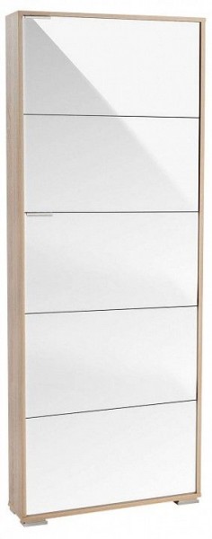 Шкаф для обуви Viva-5LW в Верхней Салде - verhnyaya-salda.mebel24.online | фото