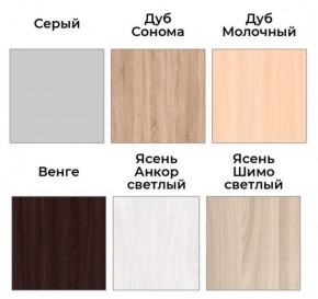 Шкаф-купе ХИТ 22-4-17-55 (420) в Верхней Салде - verhnyaya-salda.mebel24.online | фото 3