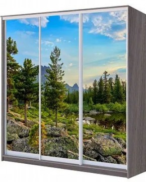 Шкаф-купе ХИТ 22-4-20/2-777 ПРИРОДА в Верхней Салде - verhnyaya-salda.mebel24.online | фото