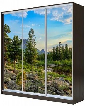 Шкаф-купе ХИТ 23-20-777 ПРИРОДА в Верхней Салде - verhnyaya-salda.mebel24.online | фото