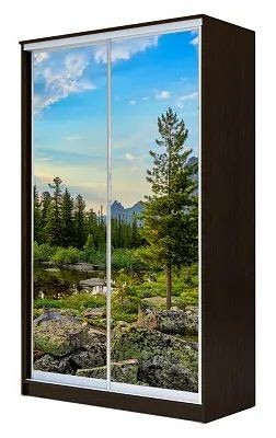 Шкаф-купе ХИТ 23-4-12/2-77 ПРИРОДА в Верхней Салде - verhnyaya-salda.mebel24.online | фото