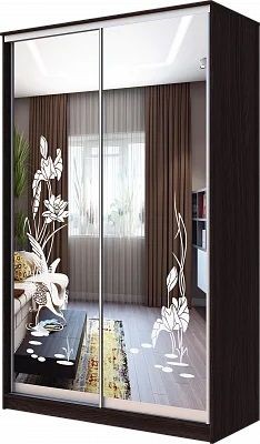 Шкаф-купе ХИТ 23-4-12-66 ЦАПЛИ в Верхней Салде - verhnyaya-salda.mebel24.online | фото