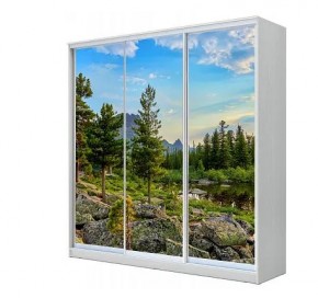 Шкаф-купе ХИТ 23-4-20-777 (420) в Верхней Салде - verhnyaya-salda.mebel24.online | фото