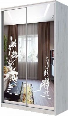 Шкаф-купе ХИТ 24-14-66 ЦАПЛИ в Верхней Салде - verhnyaya-salda.mebel24.online | фото