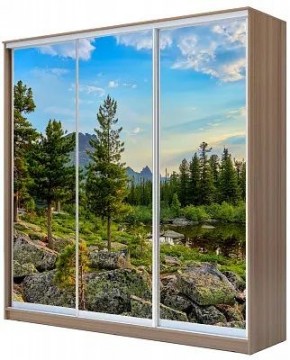 Шкаф-купе ХИТ 24-20/2-777 ПРИРОДА в Верхней Салде - verhnyaya-salda.mebel24.online | фото
