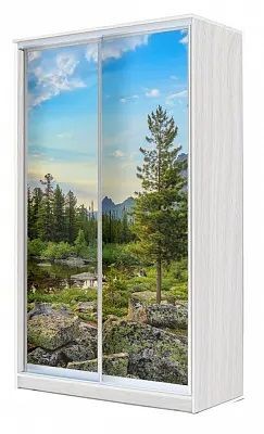 Шкаф-купе ХИТ 24-4-15-77 ПРИРОДА в Верхней Салде - verhnyaya-salda.mebel24.online | фото
