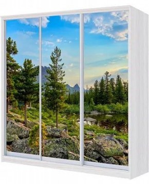 Шкаф-купе ХИТ 24-4-18/2-777 ПРИРОДА в Верхней Салде - verhnyaya-salda.mebel24.online | фото