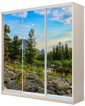 Шкаф-купе ХИТ 24-4-20-777 ПРИРОДА в Верхней Салде - verhnyaya-salda.mebel24.online | фото