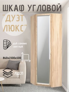 Шкаф угловой Дуэт Люкс с зеркалом в Верхней Салде - verhnyaya-salda.mebel24.online | фото