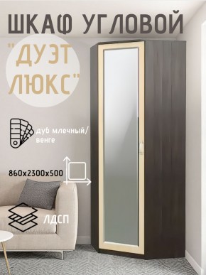 Шкаф угловой Дуэт Люкс с зеркалом в Верхней Салде - verhnyaya-salda.mebel24.online | фото 5