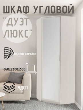 Шкаф угловой Дуэт Люкс с зеркалом в Верхней Салде - verhnyaya-salda.mebel24.online | фото 6