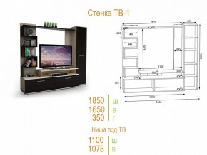 Стенка для гостиной ТВ-1 в Верхней Салде - verhnyaya-salda.mebel24.online | фото 2