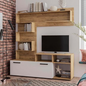 Гостиная Евро (крафт/белый) в Верхней Салде - verhnyaya-salda.mebel24.online | фото
