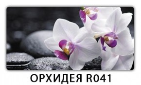 Стол раздвижной Трилогия с фотопечатью Доска D113 в Верхней Салде - verhnyaya-salda.mebel24.online | фото 12