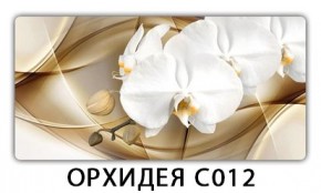 Стол раздвижной Трилогия с фотопечатью Доска D113 в Верхней Салде - verhnyaya-salda.mebel24.online | фото 13