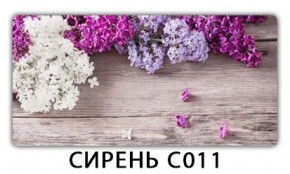 Стол раздвижной Трилогия с фотопечатью Доска D113 в Верхней Салде - verhnyaya-salda.mebel24.online | фото 16