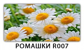 Стол раздвижной Трилогия с фотопечатью Орхидея R041 в Верхней Салде - verhnyaya-salda.mebel24.online | фото 15