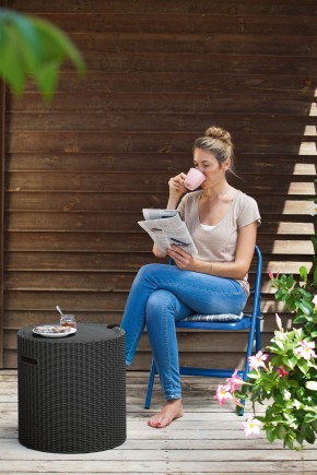 Столик-холодильник Кул-Стул (Cool stool) графит в Верхней Салде - verhnyaya-salda.mebel24.online | фото 1