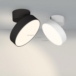 Светильник на штанге Arlight SP-RONDO-FLAP-R210-20W Day4000 (BK, 110 deg) 026453 в Верхней Салде - verhnyaya-salda.mebel24.online | фото 3