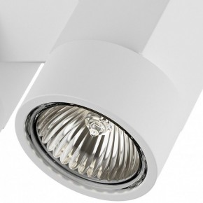 Светильник на штанге Lightstar Illumo X2 051036 в Верхней Салде - verhnyaya-salda.mebel24.online | фото 2