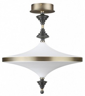 Светильник на штанге Odeon Light Ula 5404/43CL в Верхней Салде - verhnyaya-salda.mebel24.online | фото
