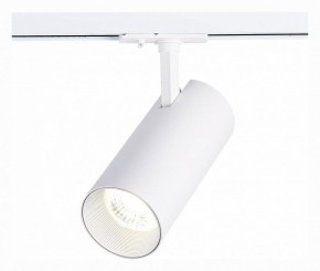 Светильник на штанге ST-Luce Mono ST350.536.30.36 в Верхней Салде - verhnyaya-salda.mebel24.online | фото 2