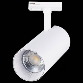 Светильник на штанге ST-Luce Mono ST350.536.30.36 в Верхней Салде - verhnyaya-salda.mebel24.online | фото 6