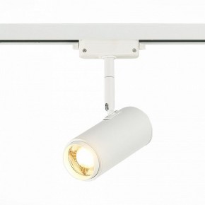 Светильник на штанге ST-Luce Zoom ST600.536.12 в Верхней Салде - verhnyaya-salda.mebel24.online | фото 2