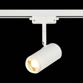 Светильник на штанге ST-Luce Zoom ST600.536.12 в Верхней Салде - verhnyaya-salda.mebel24.online | фото 4