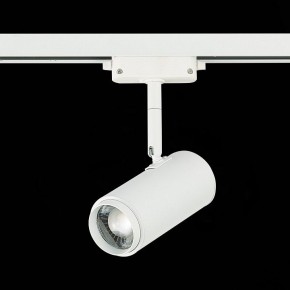 Светильник на штанге ST-Luce Zoom ST600.546.12 в Верхней Салде - verhnyaya-salda.mebel24.online | фото 5