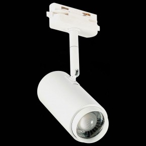 Светильник на штанге ST-Luce Zoom ST600.546.12 в Верхней Салде - verhnyaya-salda.mebel24.online | фото 6