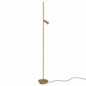 Торшер Maytoni Thin MOD395FL-L28BS3K в Верхней Салде - verhnyaya-salda.mebel24.online | фото