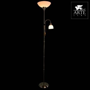 Торшер с подсветкой Arte Lamp Duetto A9569PN-2AB в Верхней Салде - verhnyaya-salda.mebel24.online | фото 3