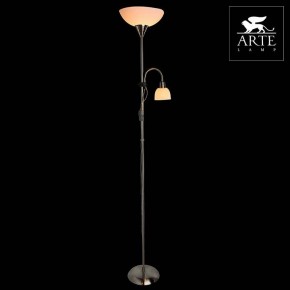 Торшер с подсветкой Arte Lamp Duetto A9569PN-2SS в Верхней Салде - verhnyaya-salda.mebel24.online | фото 3