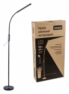 Торшер Uniel ULM-T619 UL-00010178 в Верхней Салде - verhnyaya-salda.mebel24.online | фото 2