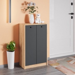 Тумба для обуви Рино в Верхней Салде - verhnyaya-salda.mebel24.online | фото 3
