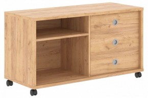 Тумба комбинированная Born B 202A в Верхней Салде - verhnyaya-salda.mebel24.online | фото